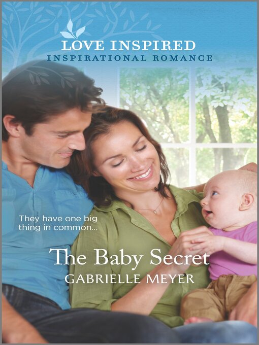 Title details for The Baby Secret by Gabrielle Meyer - Available